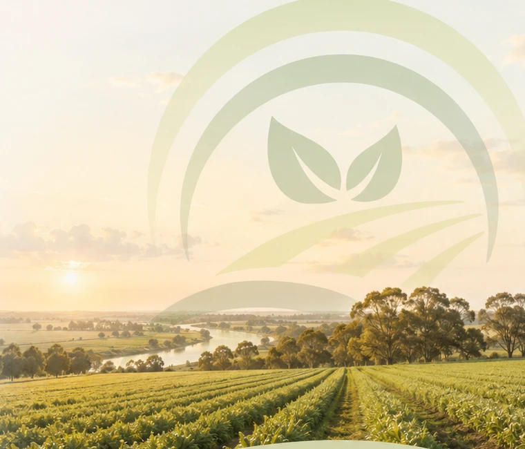 Organic vegetable fields in the Murray Valley
